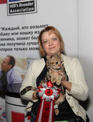 �������� ����� '������� ���-�����' 30 ������-1 ������� 2013., WCF-����� 3905